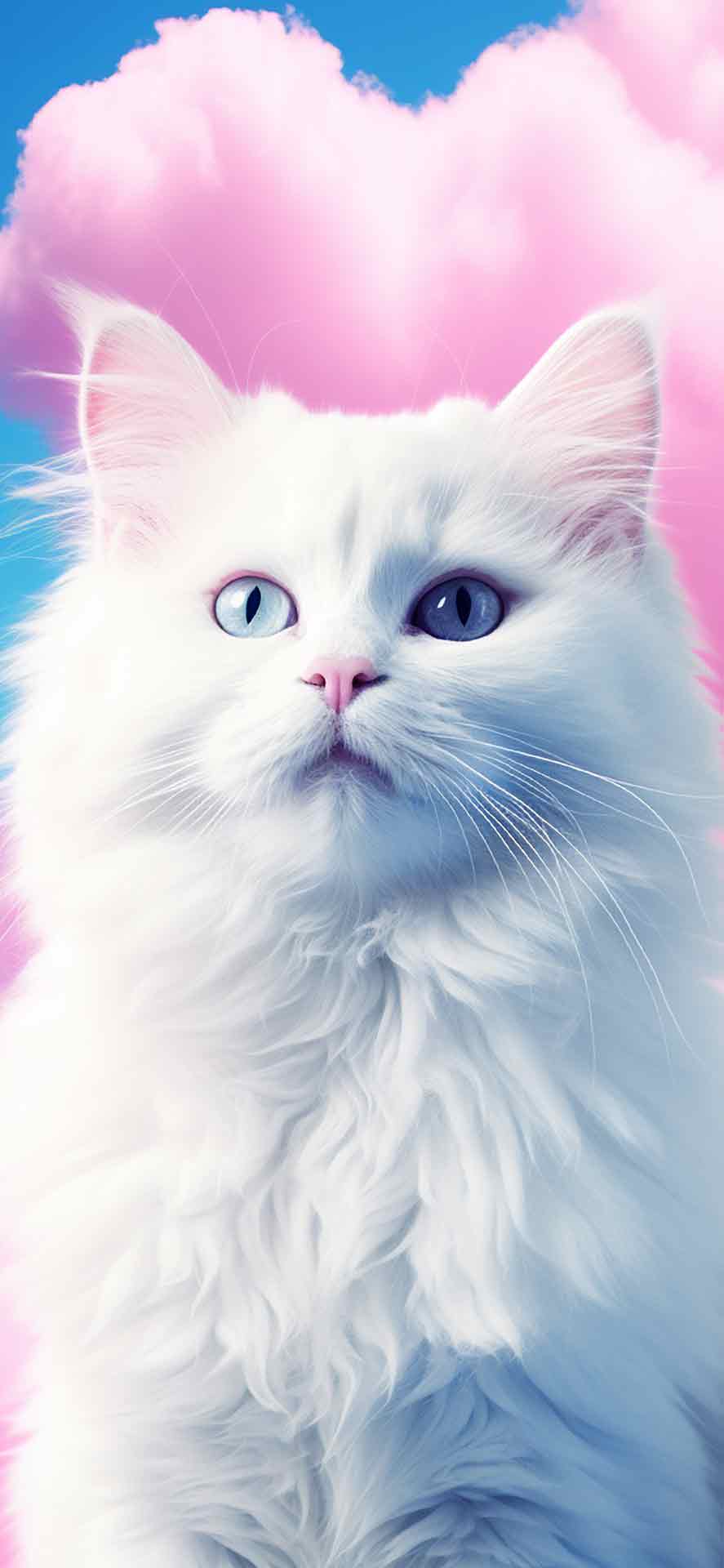 美丽的小猫深度效果iPhone壁纸