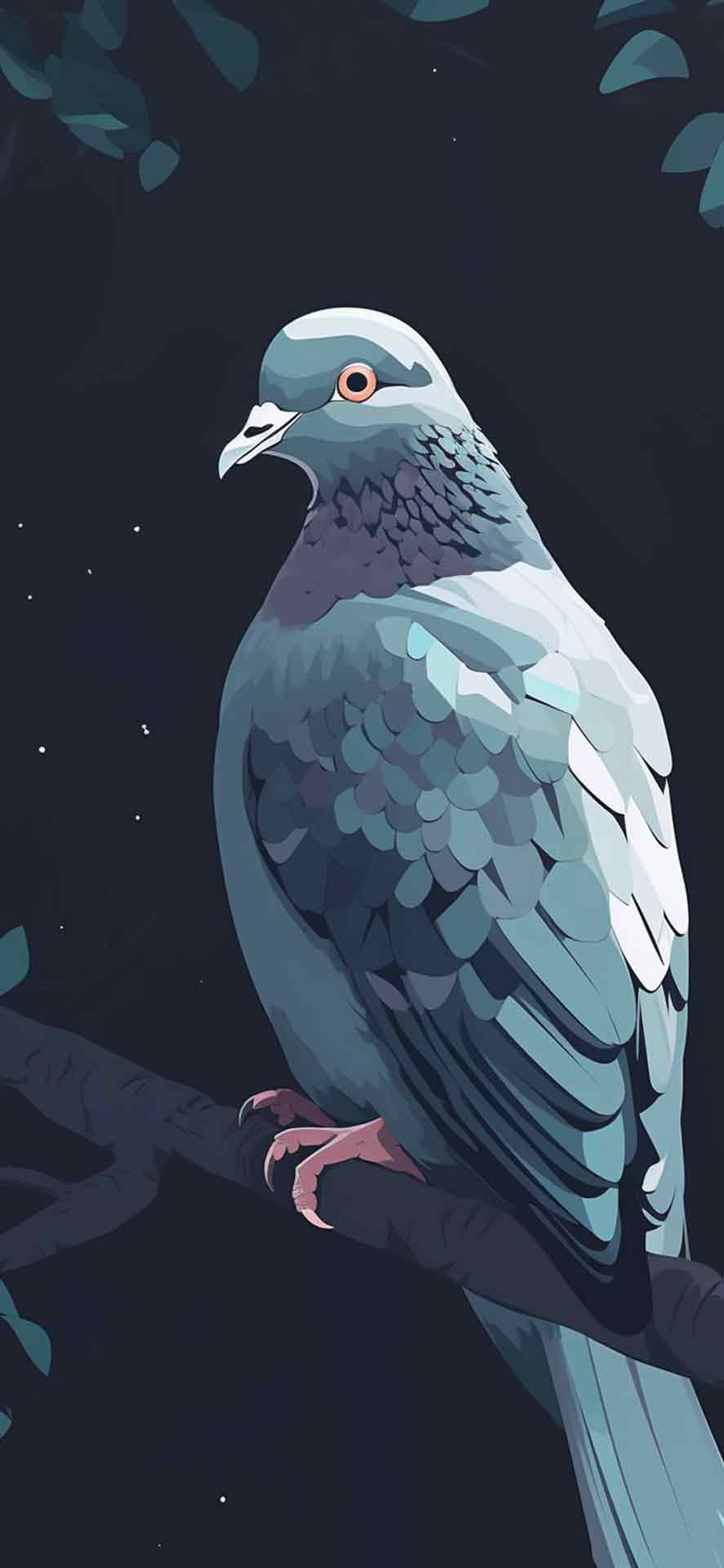 鸽子灰色艺术壁纸