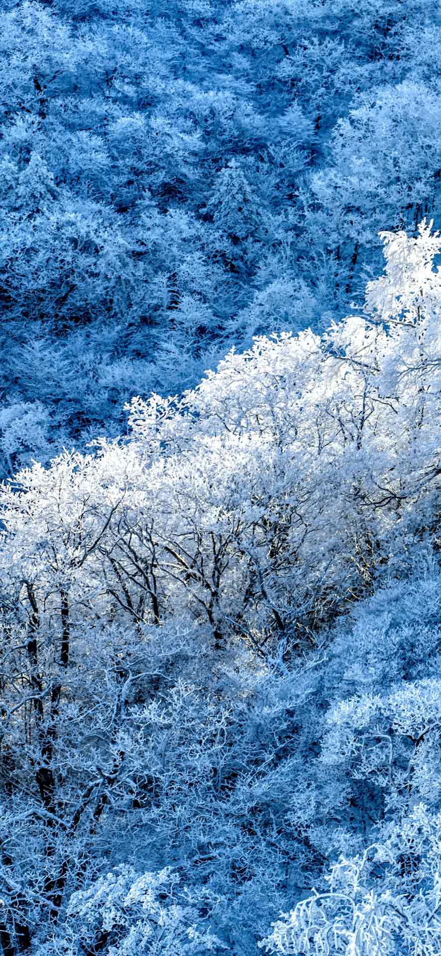 冬天iPhone壁纸 34
