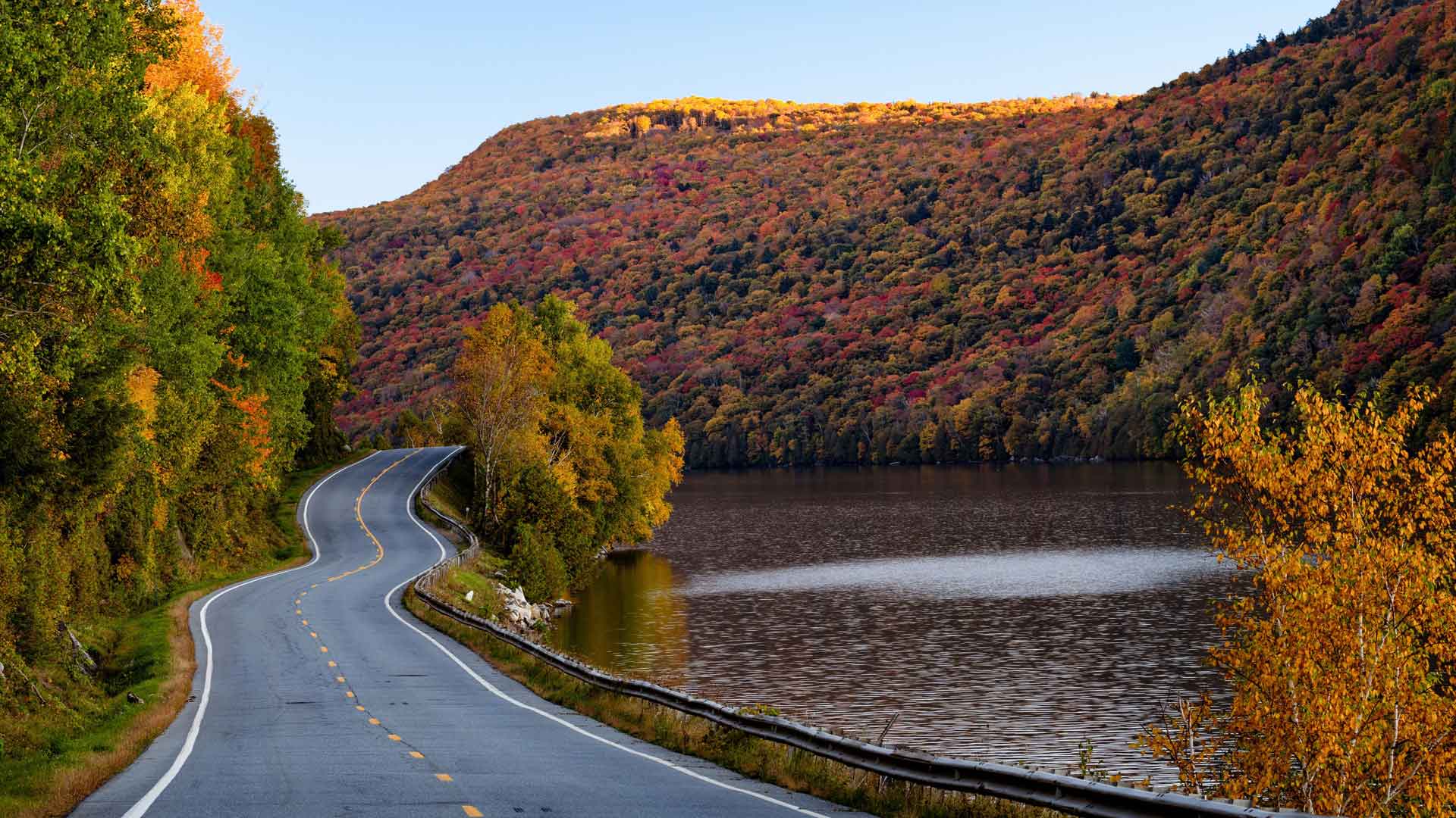 秋季湖畔森林路美国新罕布什尔州