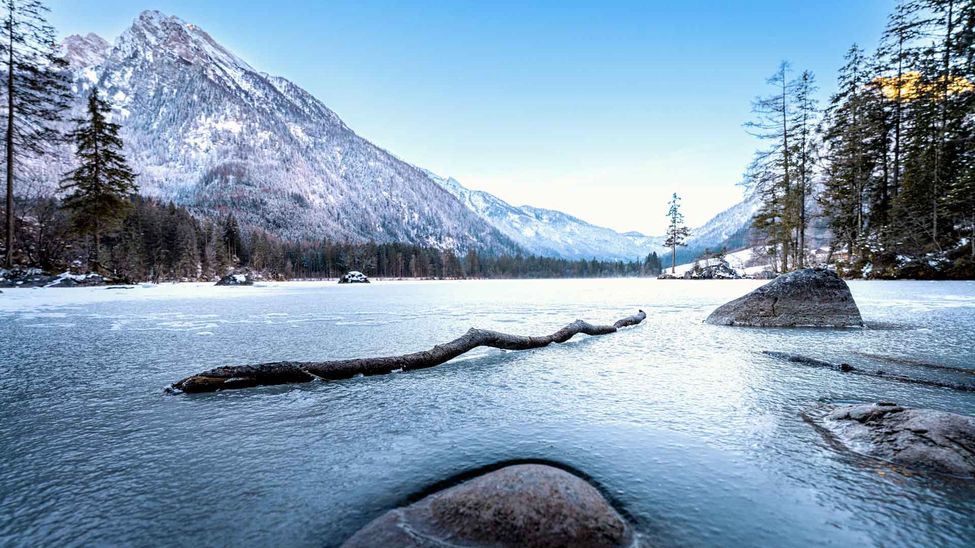 冰冻的湖泊枯木雪山石刻