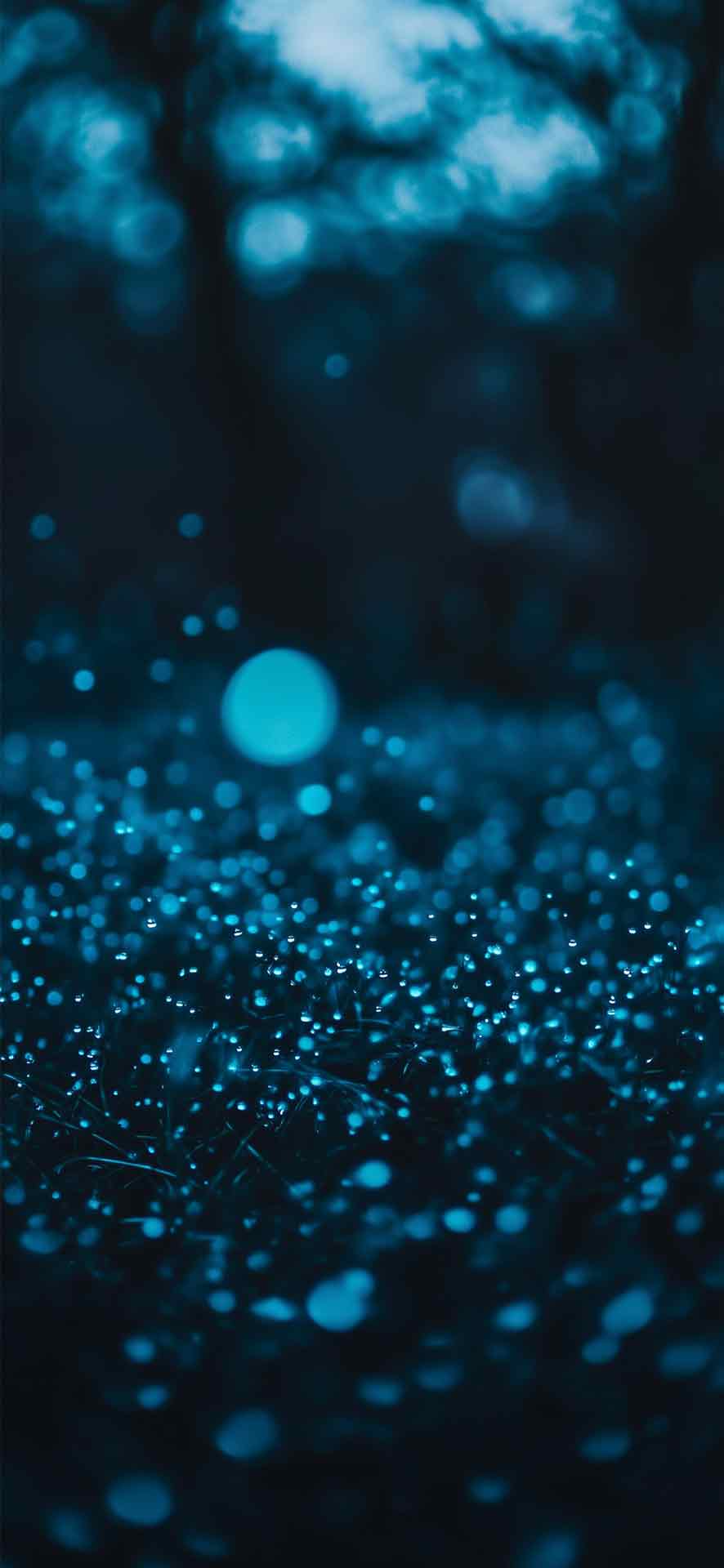 雾露覆盖的草地壁纸