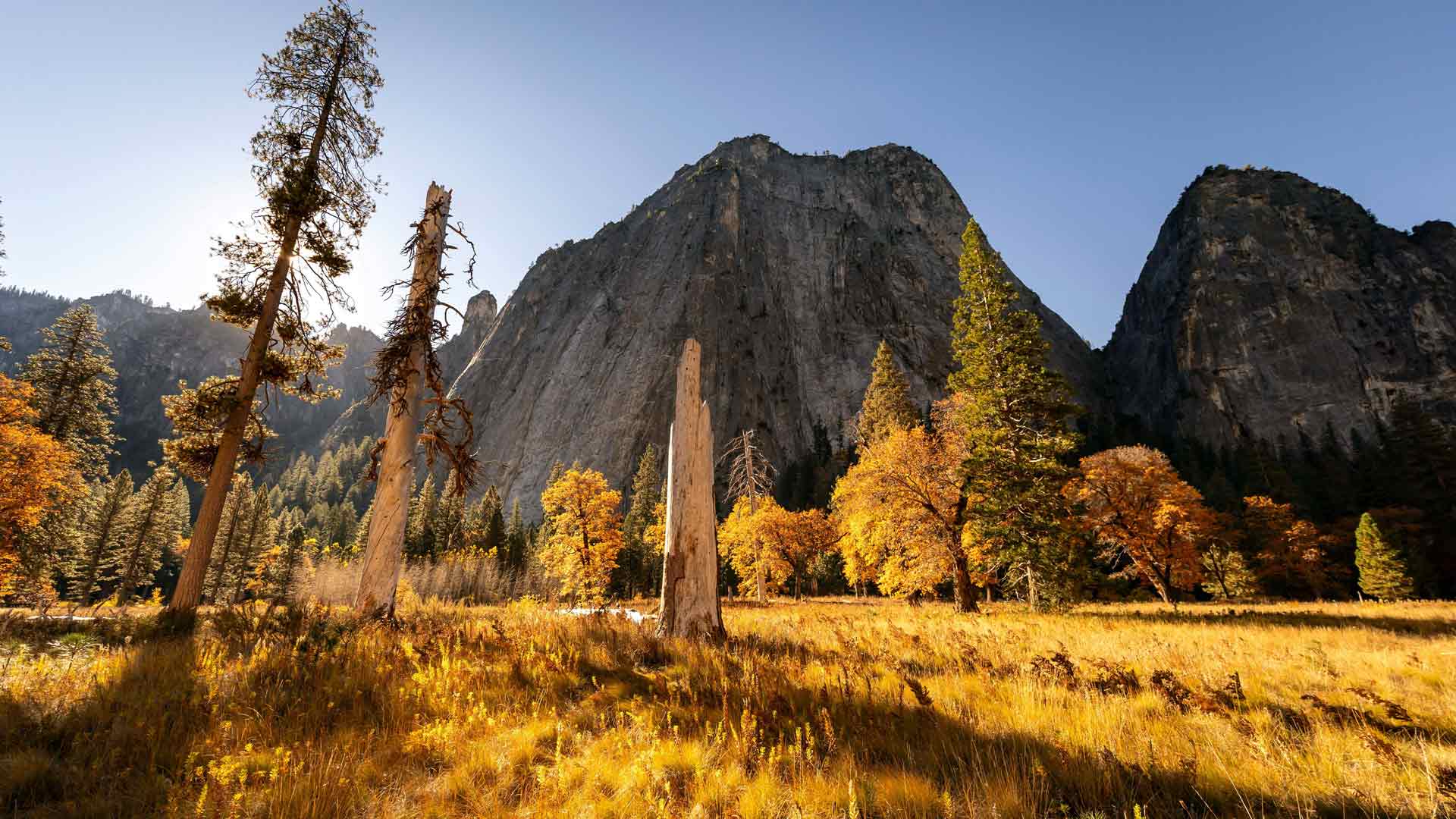 秋日阳光洒在金色的树木上，优胜美地山脉，美国 5K
