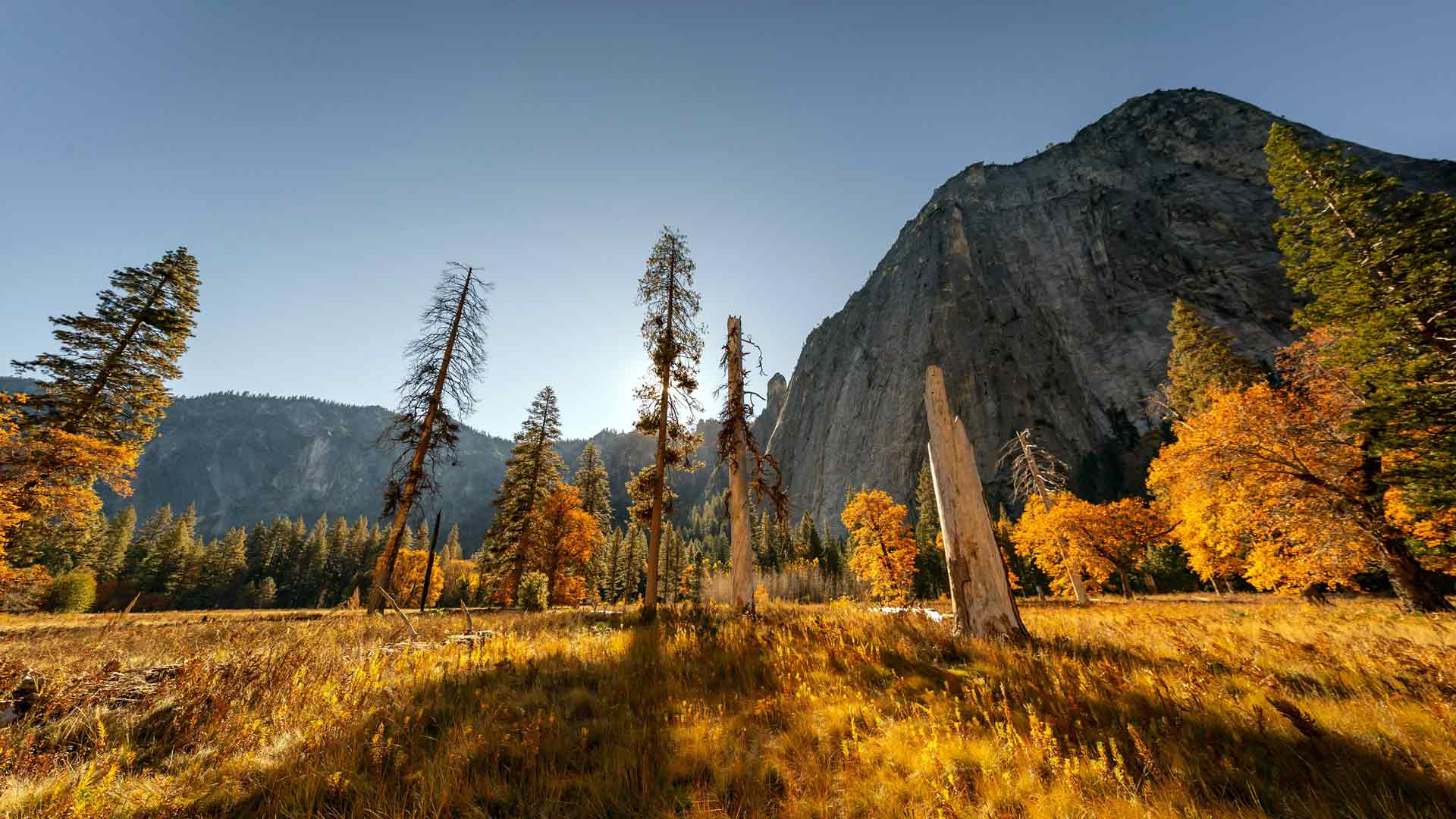 金色秋树山优胜美地美国5K