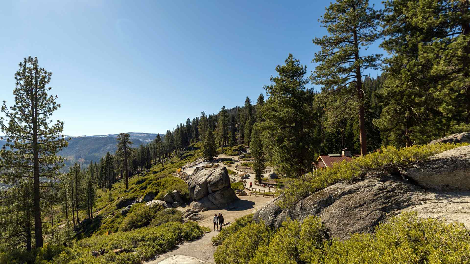 徒步小径 岩石森林景观 蓝天