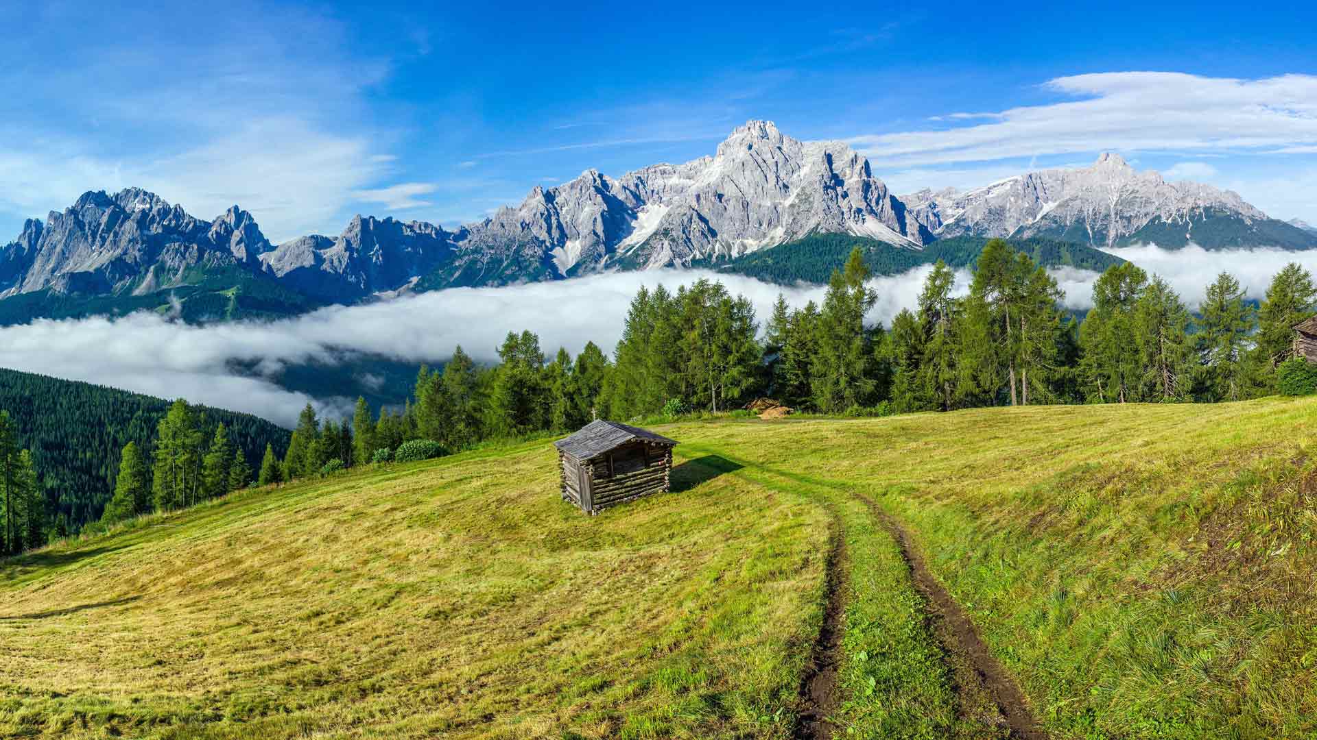 木屋草地塞克斯滕多洛米蒂山脉景观